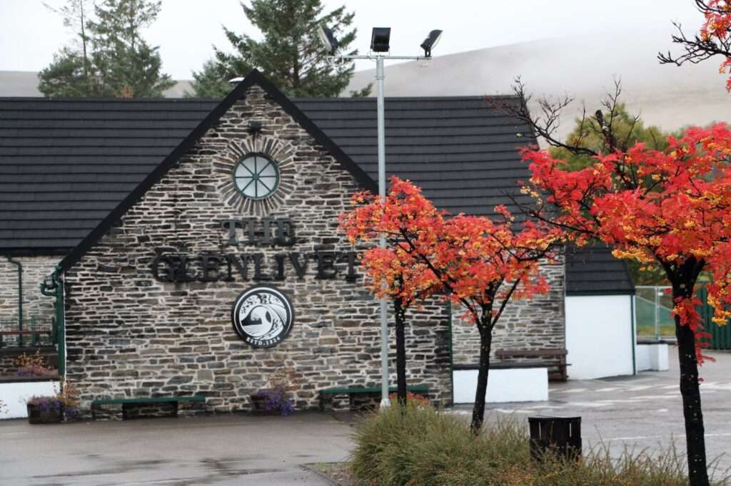 WhatsApp Image 2025-12-19 at 15.01.08 (5)