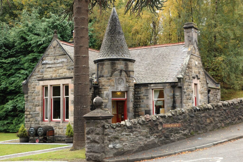 WhatsApp Image 2025-12-19 at 15.21.29 (4)