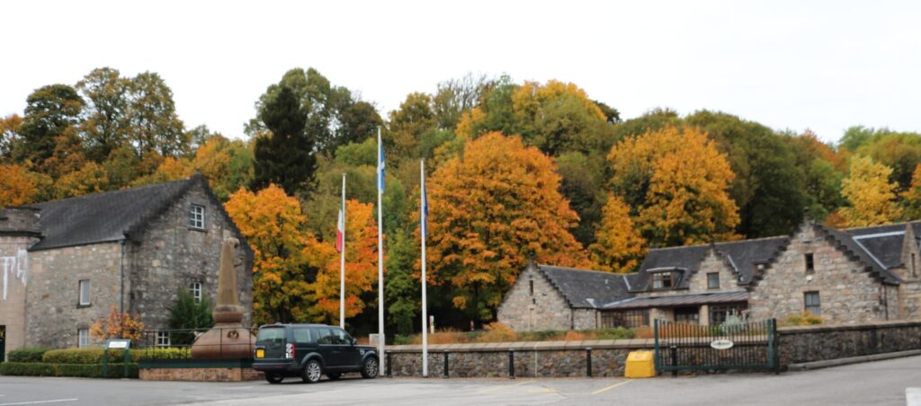 WhatsApp Image 2025-12-19 at 16.49.48 (16)