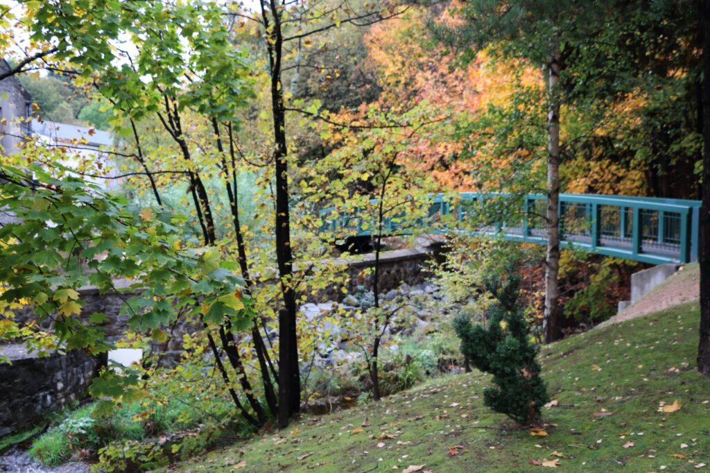 WhatsApp Image 2025-12-19 at 16.49.48 (4)