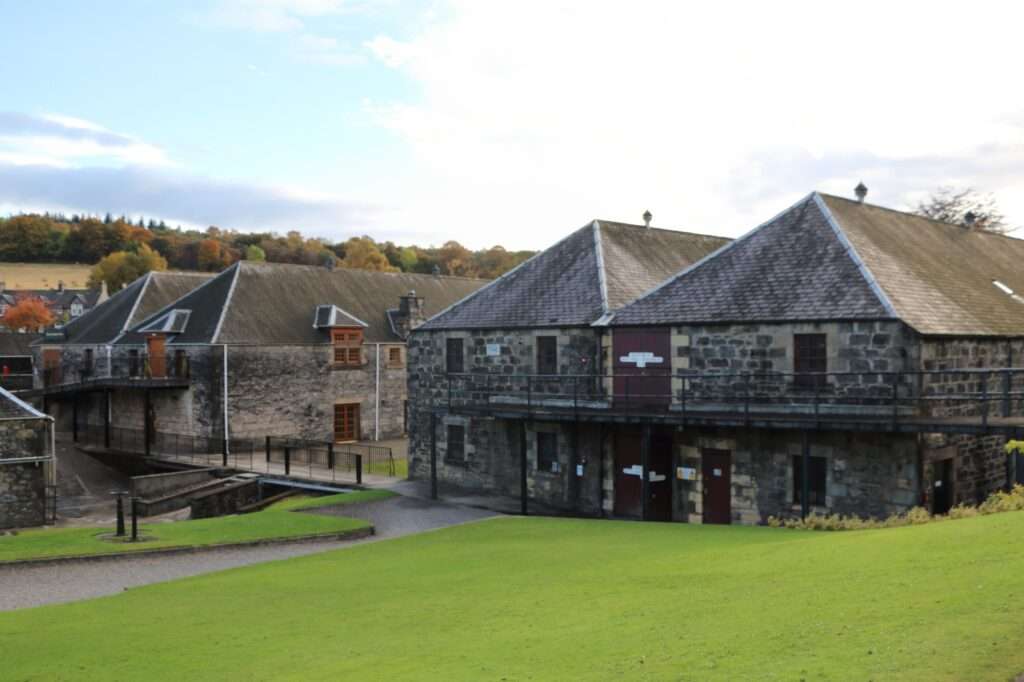 WhatsApp Image 2025-12-19 at 17.53.47 (24)