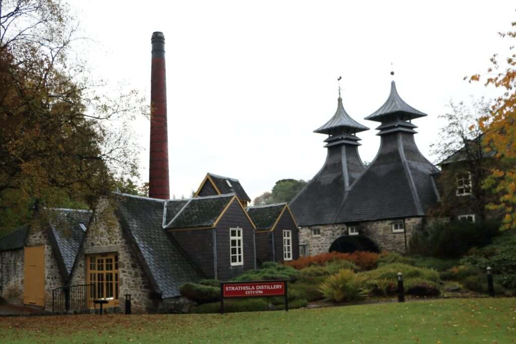 WhatsApp Image 2025-12-20 at 08.18.57 (4)