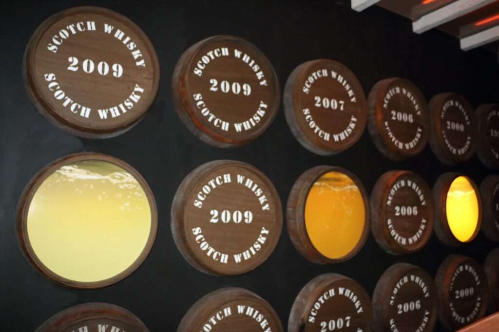 WhatsApp Image 2025-12-20 at 16.28.35 (6)