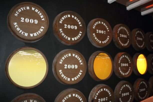 WhatsApp Image 2025-12-20 at 16.28.35 (6)