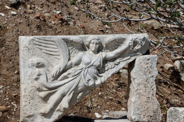 WhatsApp Image 2025-12-21 at 11.54.14 (6)