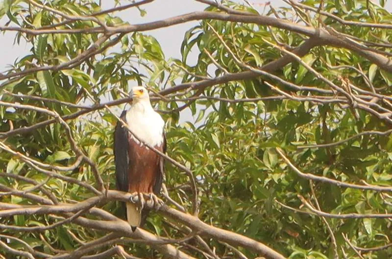20240208-RANDONNEE-PEDESTRE-PODOR-NGAWLE-SENEGAL-125