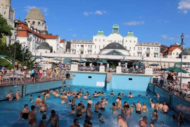 WhatsApp Image 2025-12-22 at 15.49.07 (21)