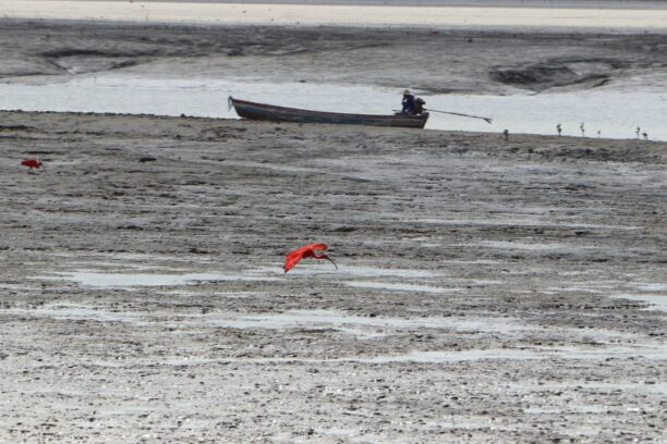 602386369_122273127038220392_1680368860489098174_n