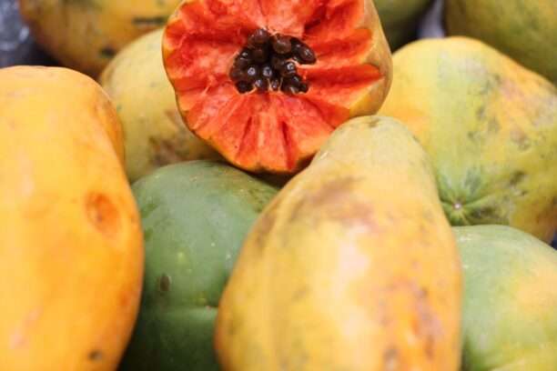 604739891_122273349002220392_7767704183887495086_n