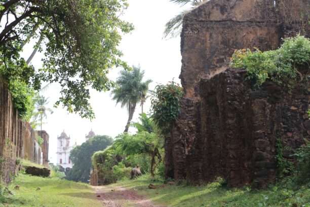 605194706_122273055548220392_2043274662634114077_n