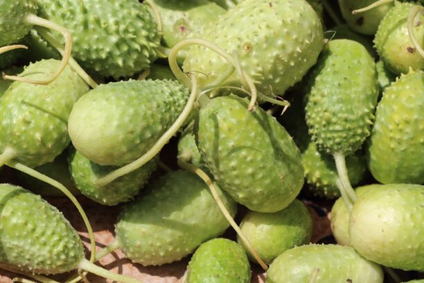 605204132_122273349068220392_4743932927496899414_n