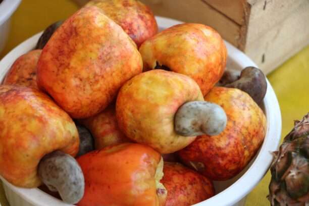 605718480_122273348894220392_203839277001409183_n