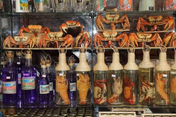 606434322_122273030840220392_8738352989599311650_n