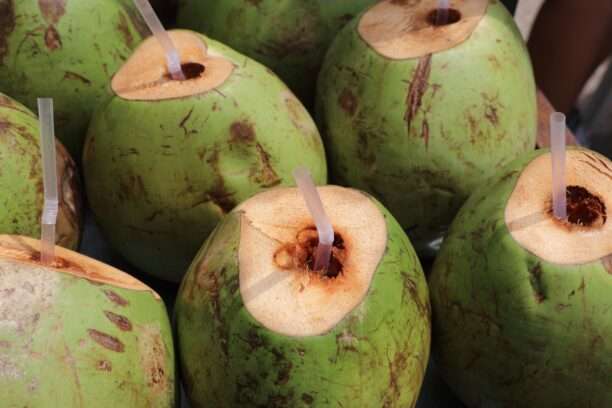 606644282_122273349212220392_6899222471185794469_n