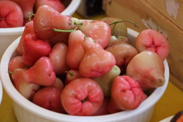 607300826_122273348186220392_1535264420390921338_n