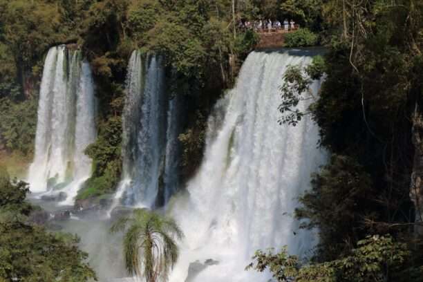 WhatsApp Image 2025-12-26 at 07.59.19 (13)