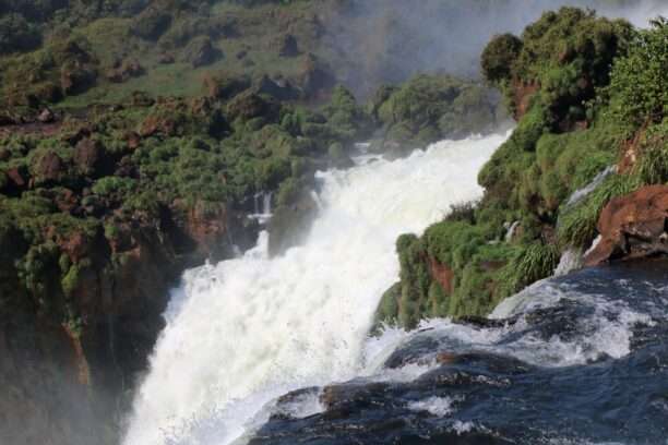 WhatsApp Image 2025-12-26 at 08.07.44 (22)