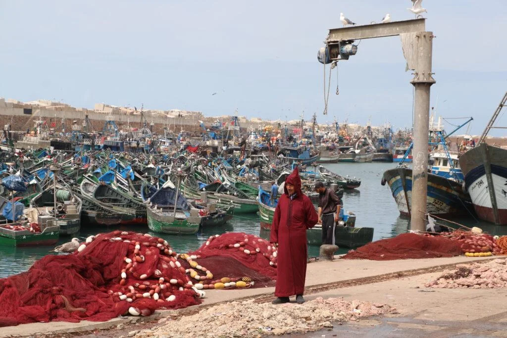 20230318-SAFI-PORT-DE-SAFI-MAROC-50-1024x683