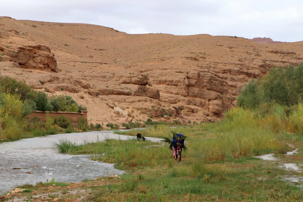 20231016-LA-VALLEE-DES-ROSES-Tabarkhachte-EL-KELAA-MGOUNA-MAROC-10-1024x683