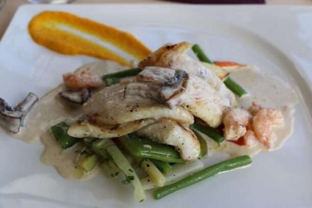 465053223_8520622327975161_5500056489703474760_n