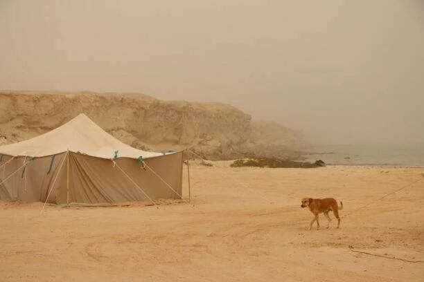 20240124-PISTE-VERS-CHAMI-BANC-DARGUIN-MAURITANIE-9-612x408-1