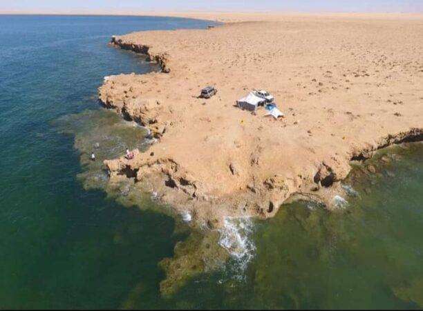 WhatsApp-Image-2024-01-29-a-14.14.17_534b782a-612x451