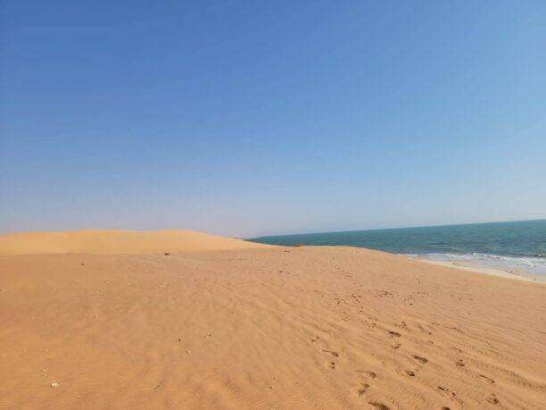 WhatsApp-Image-2024-01-29-a-14.14.18_cfbee5ea-612x459