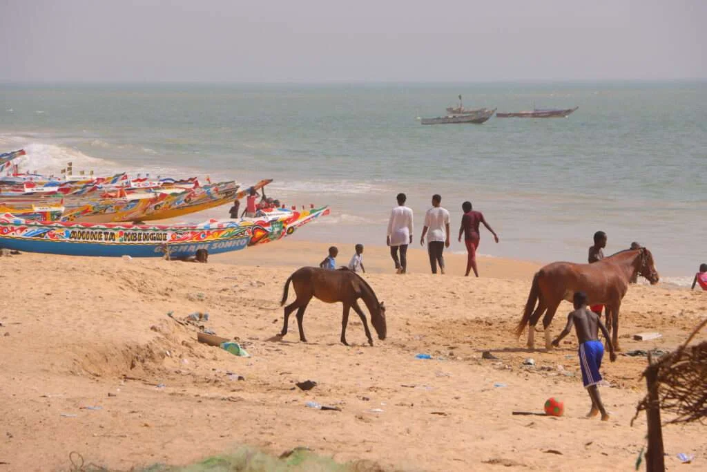 20240317-DE-NGARAPAROU-A-LA-PLAGE-DE-LA-SOMONE-PETITE-COTE-SENEGAL-3-1024x683