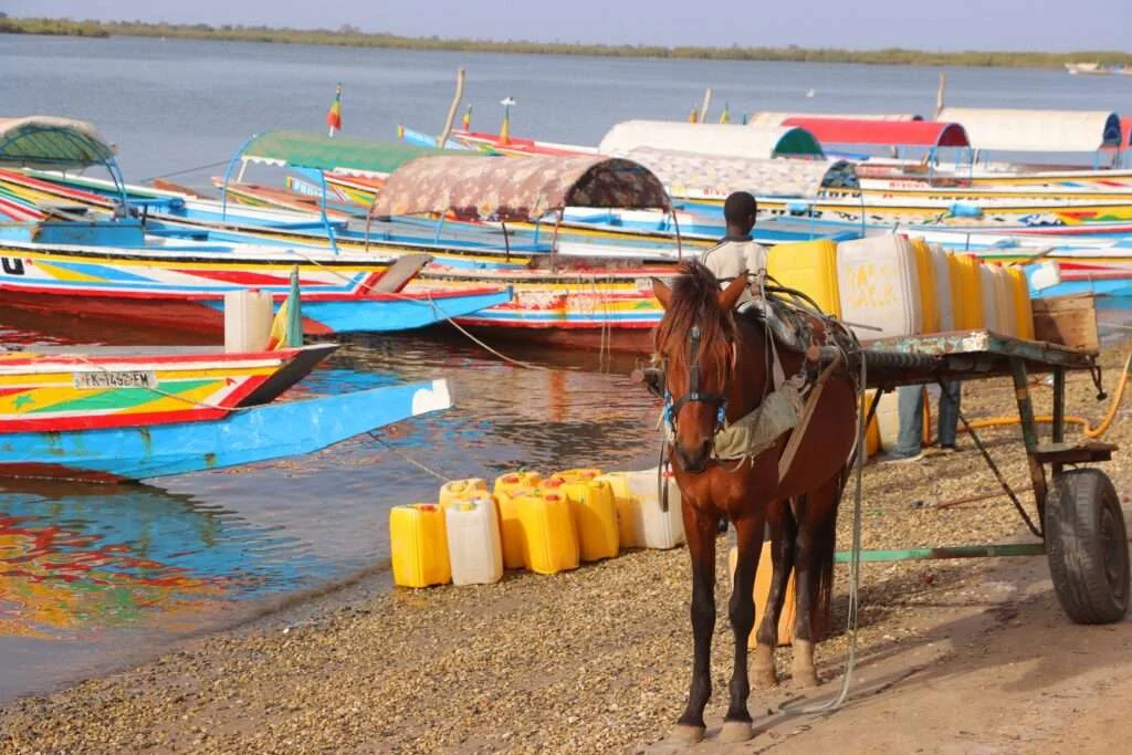 20240329-SORTIE-ILES-DU-SALOUM-NDANGANE-DELTA-DU-SALOUM-SENEGAL-2-1024x683