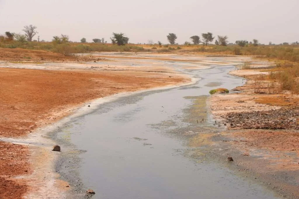20240331-ROUTE-DE-SOKONE-DELTA-DU-SALOUM-SENEGAL-1-1024x683