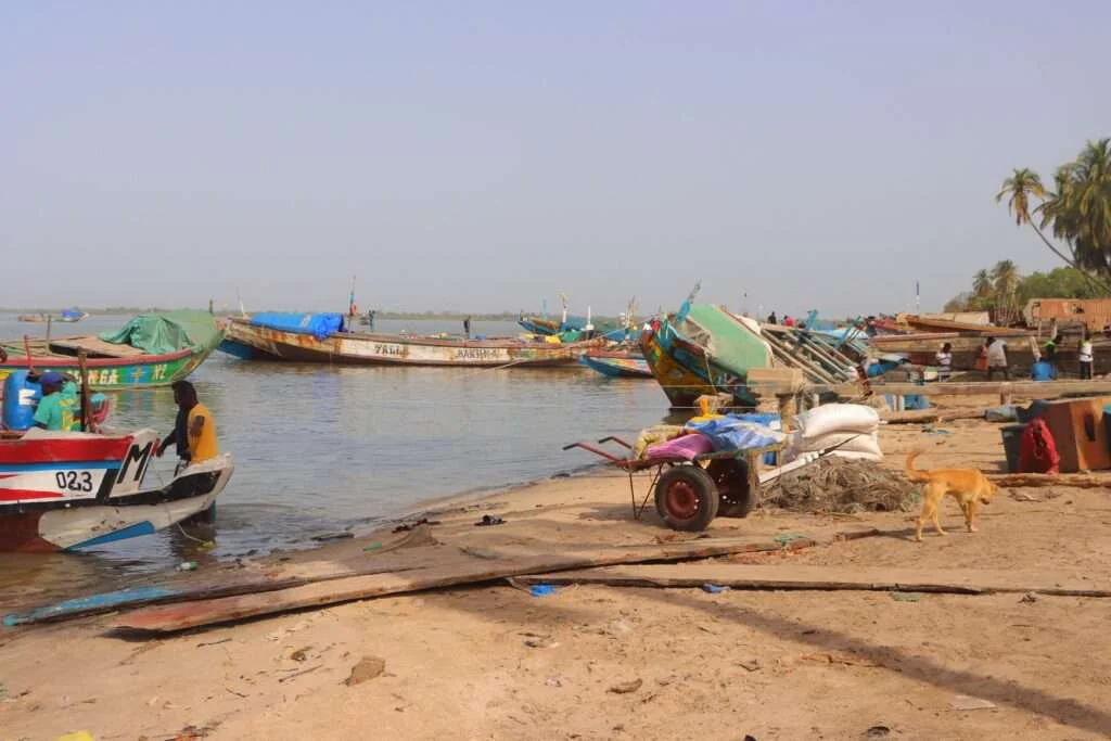 20240412-ELINKINE-CAP-SKIRRING-CASAMANCE-SENEGAL-2-1024x683