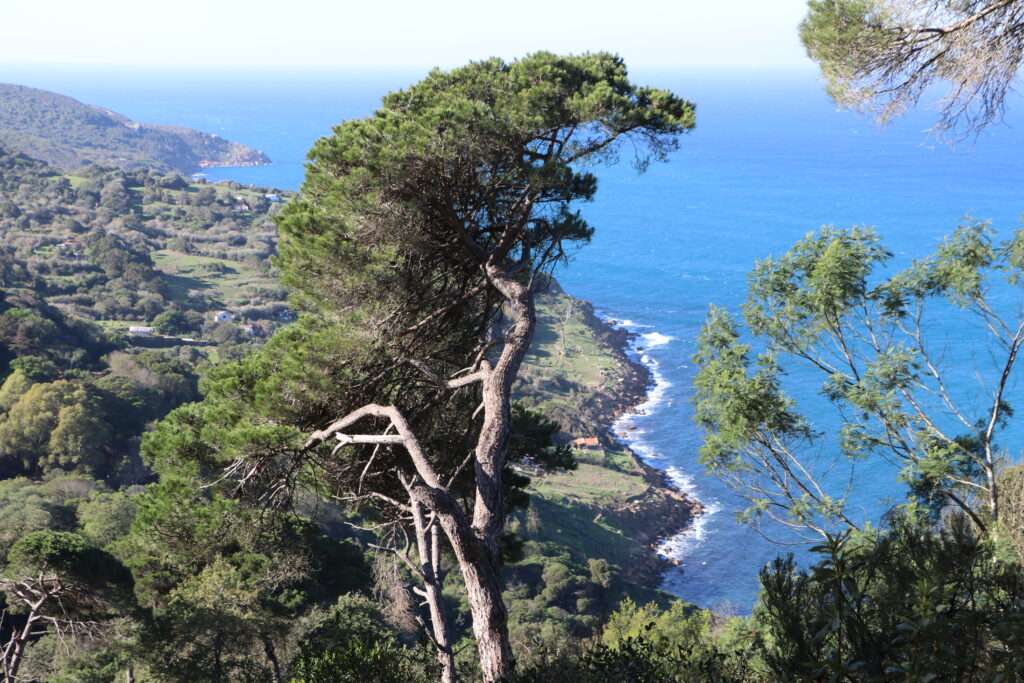 20230105 PARC DE PREDICARIS TANGER MAROC (4)