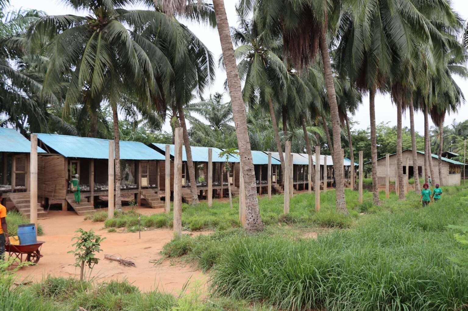 Porto-Novo La Ville aux trois noms Région Ouémé Bénin ...