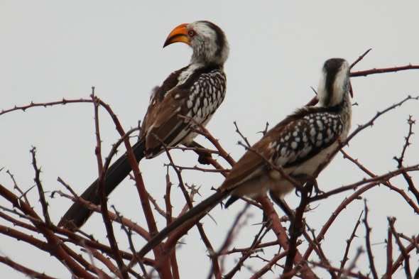 577793272_1366970475133941_8024524446871429157_n