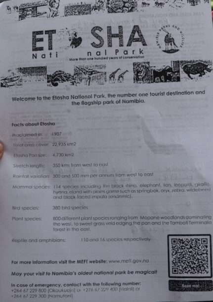 WhatsApp Image 2025-11-07 at 11.34.32 (6)