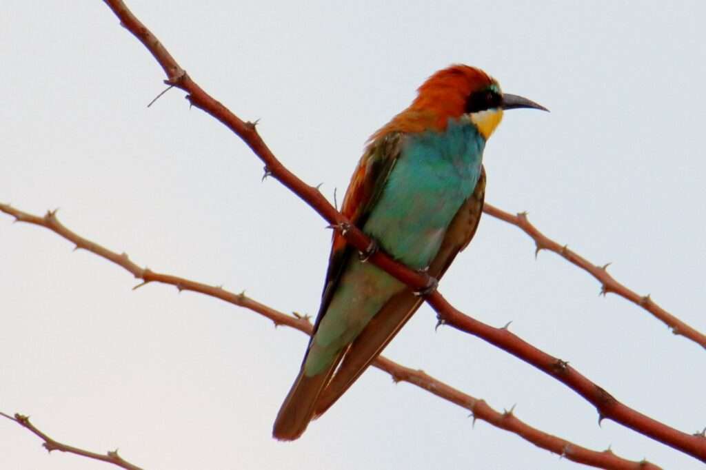 WhatsApp Image 2025-11-07 at 13.26.03