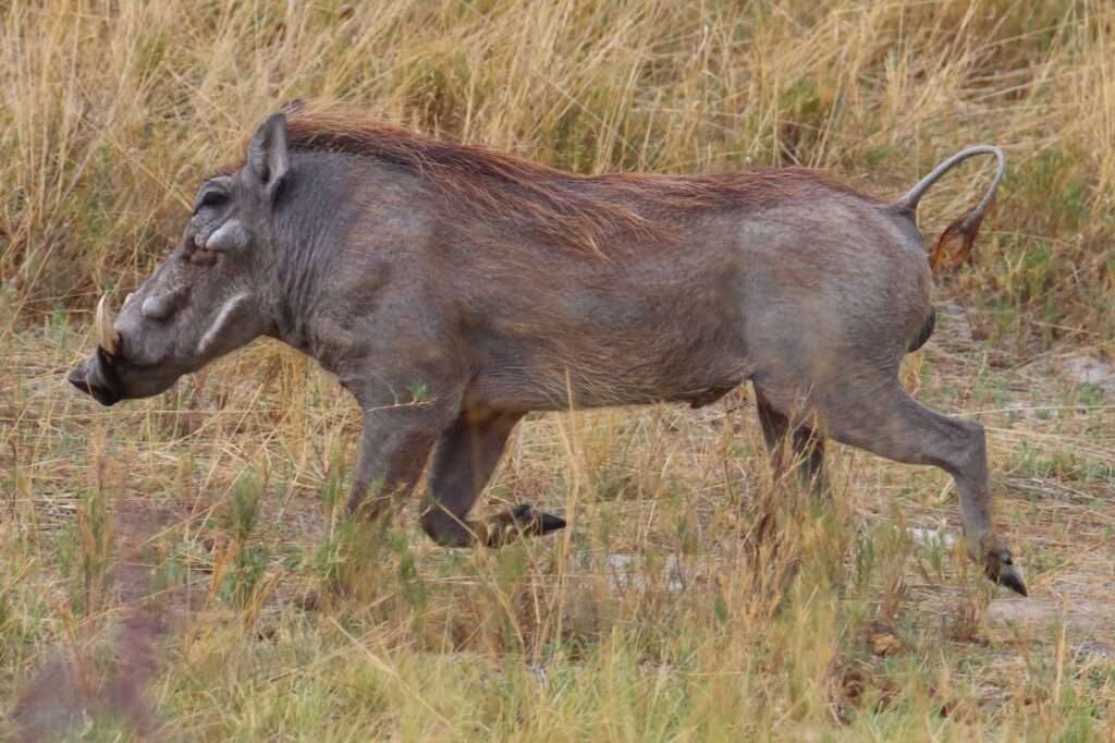 WhatsApp Image 2025-11-08 at 17.36.55