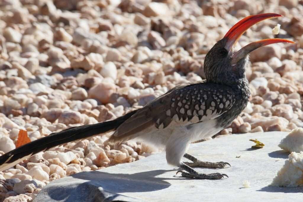 WhatsApp Image 2025-11-14 at 12.55.05 (16)