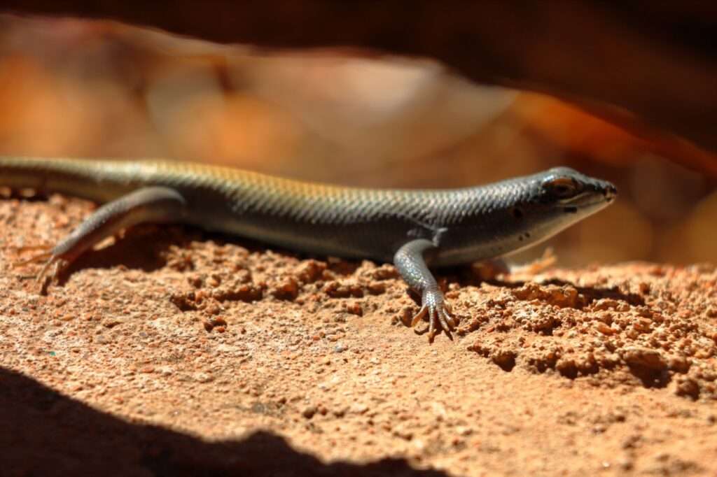 WhatsApp Image 2025-11-14 at 12.55.05 (3)