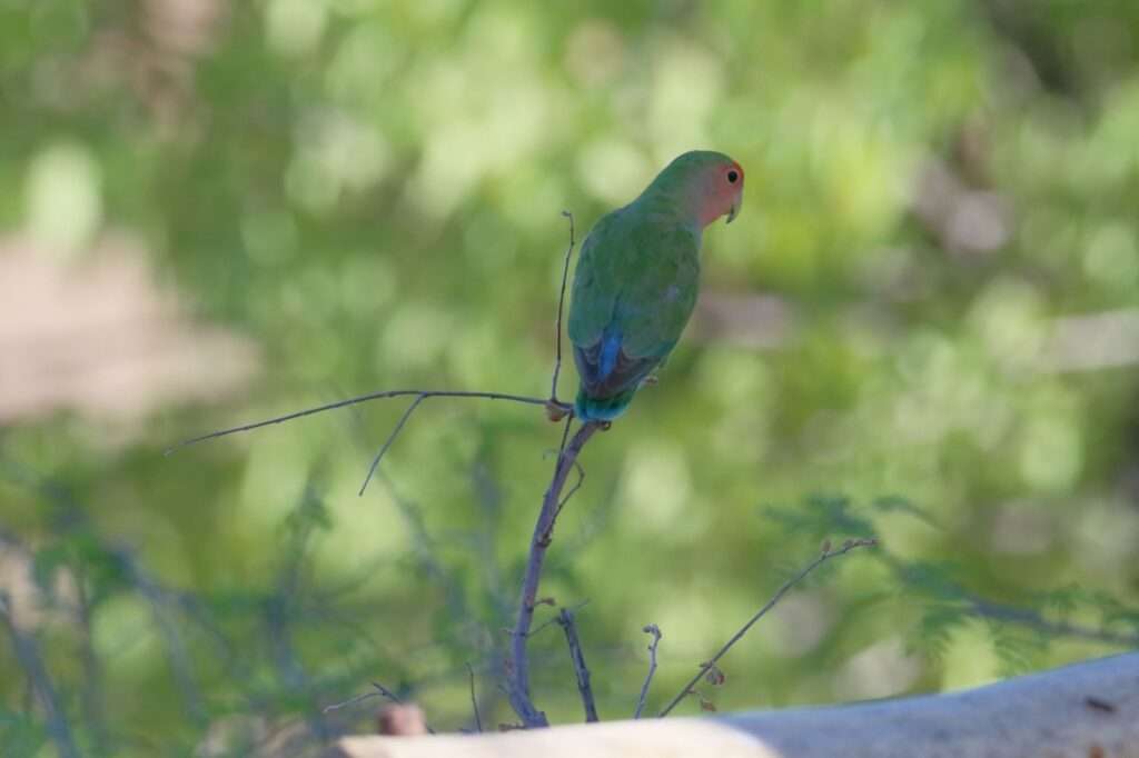 WhatsApp Image 2025-11-14 at 13.27.06 (10)