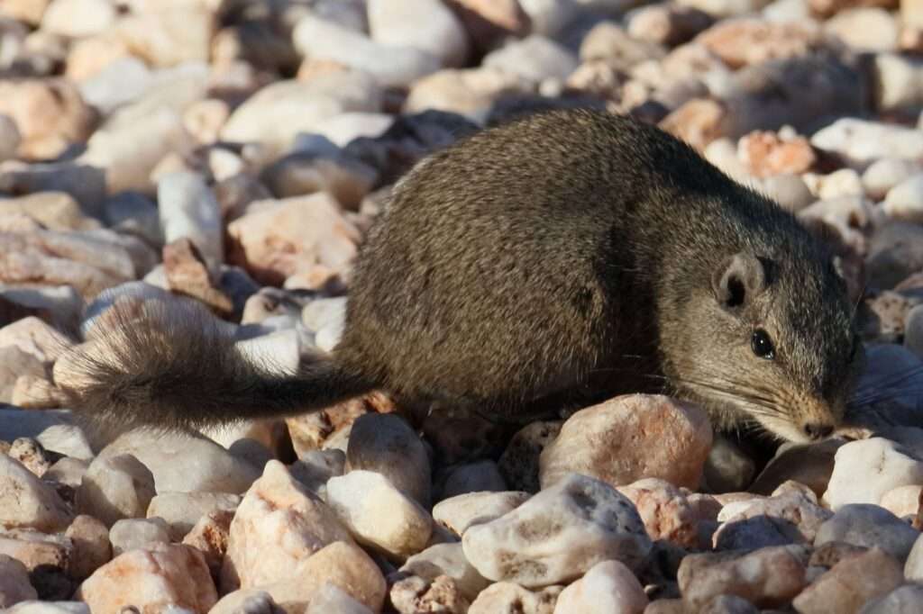 WhatsApp Image 2025-11-14 at 13.27.06 (9)