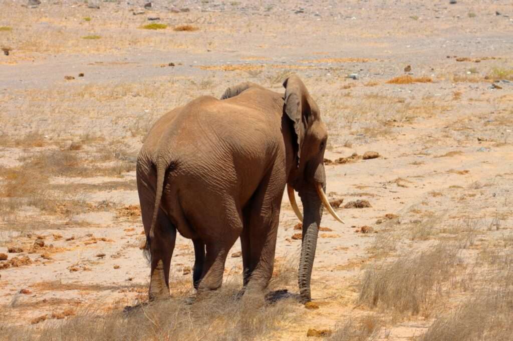 WhatsApp Image 2025-11-14 at 20.49.15 (6)