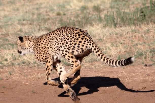 WhatsApp Image 2025-11-23 at 17.25.32 (11)