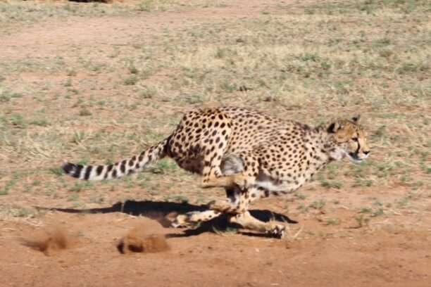 WhatsApp Image 2025-11-23 at 17.30.34 (12)