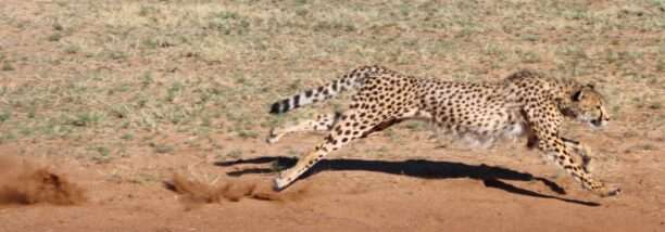 WhatsApp Image 2025-11-23 at 17.30.34 (13)