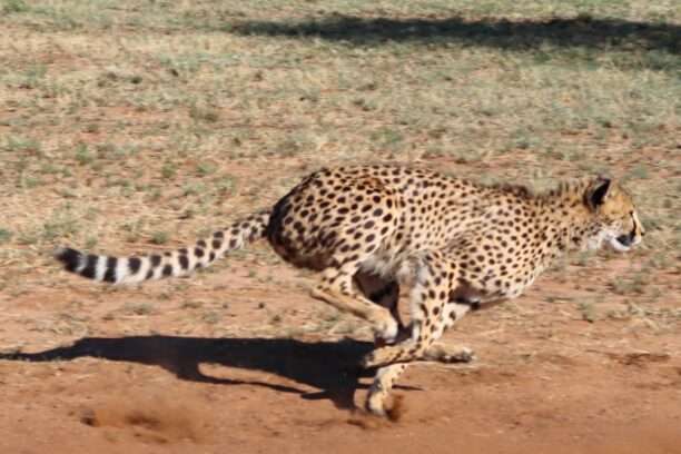 WhatsApp Image 2025-11-23 at 17.30.34 (14)