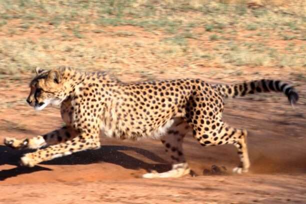 WhatsApp Image 2025-11-23 at 17.32.47 (8)