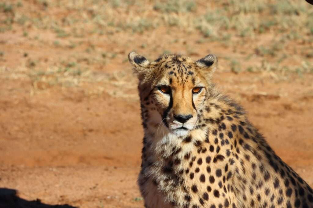 WhatsApp Image 2025-11-23 at 17.34.21 (5)