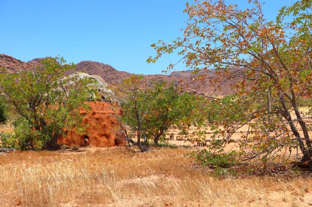 WhatsApp Image 2025-11-24 at 14.20.21 (11)