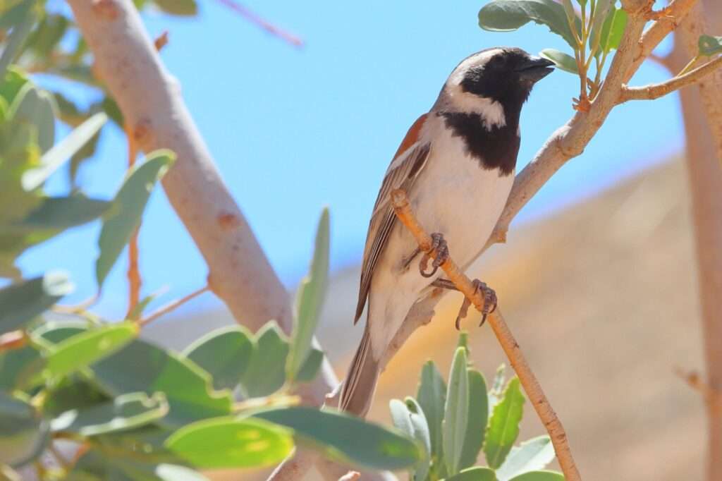 WhatsApp Image 2025-11-24 at 14.50.52 (6)